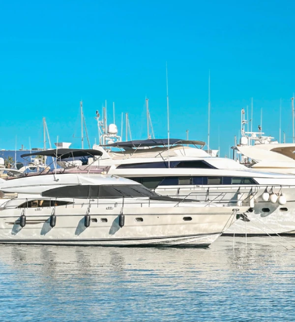 Foto: frimufilms – Freepik – Premium License