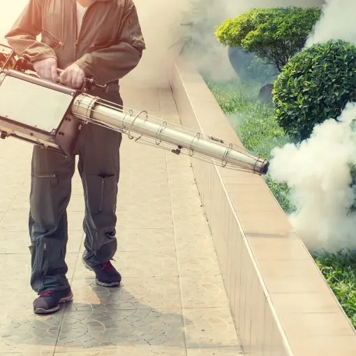 Foto: songwutphin – Freepik – Premium License