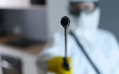 Serviço antimofo na Zona Sul: como eliminar mofo e proteger ambientes contra umidade